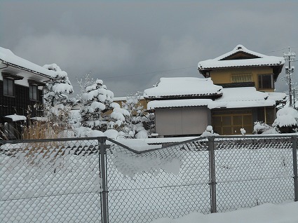 DSCN7334.jpg