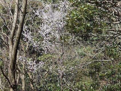 DSCN7392.jpg