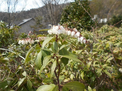 DSCN7402.jpg