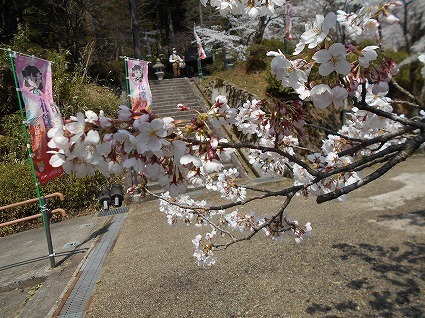 DSCN7410.jpg