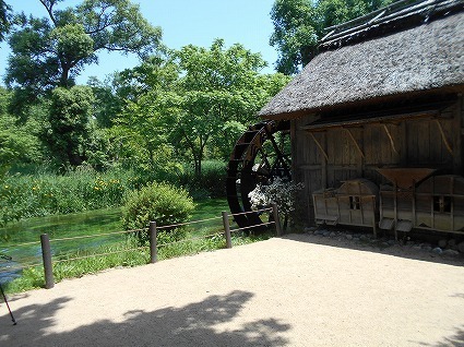 DSCN7487.jpg