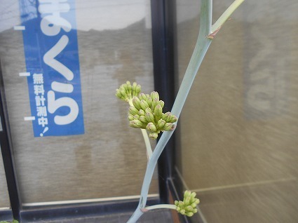 DSCN7618.jpg