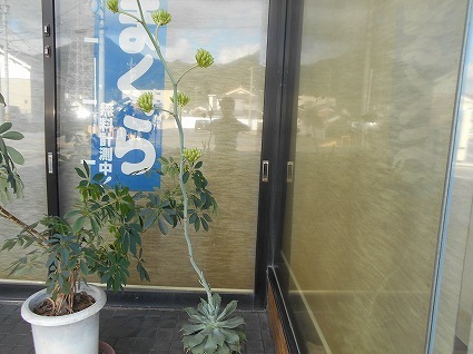 DSCN7630.jpg