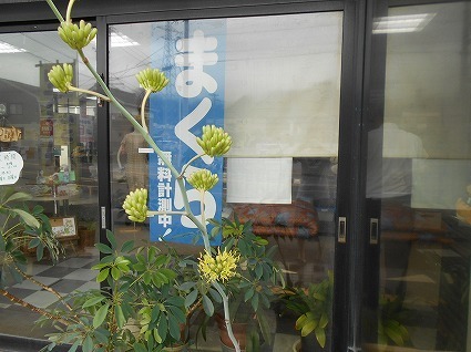 DSCN7634.jpg
