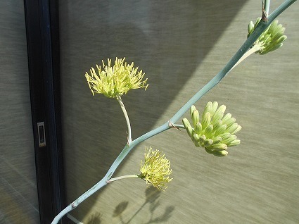 DSCN7638.jpg