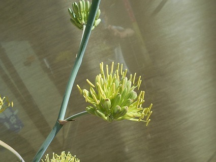 DSCN7643.jpg