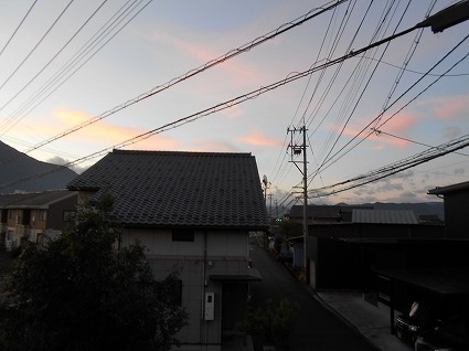 DSCN7653.jpg