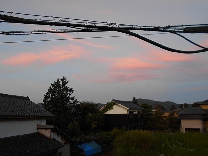 DSCN7654.jpg