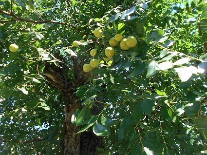 DSCN7659.jpg