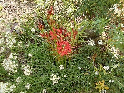 DSCN7671.jpg