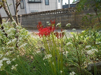 DSCN7673.jpg
