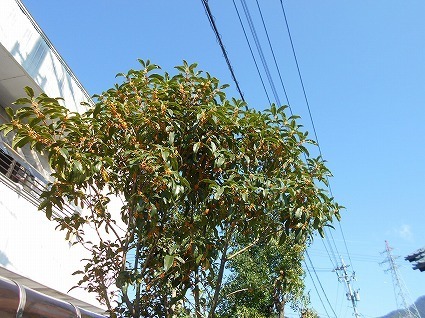 DSCN7684.jpg