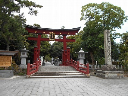 DSCN7699.jpg