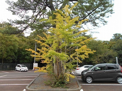 DSCN7702.jpg