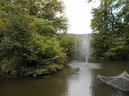DSCN7704.jpg