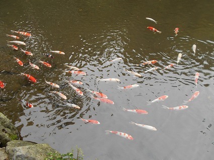 DSCN7705.jpg