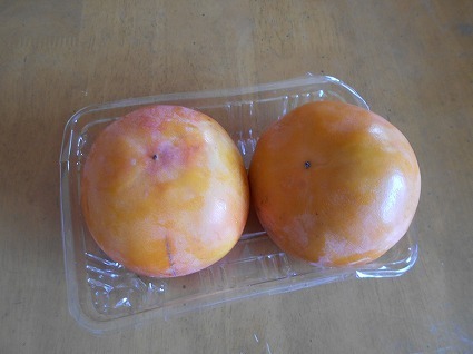 DSCN7719.jpg