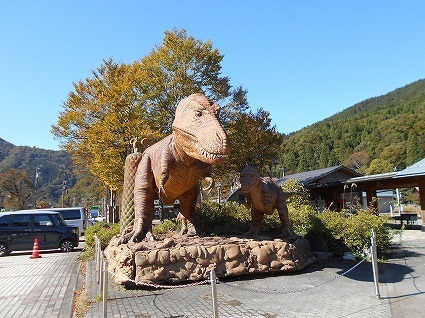 DSCN7728.jpg