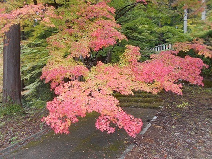 DSCN7738.jpg