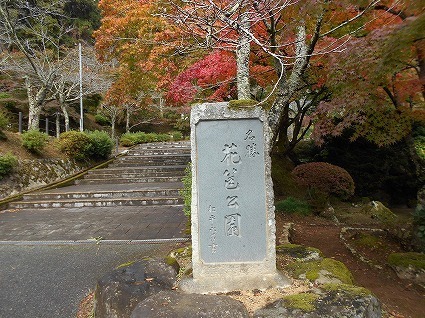 DSCN7742.jpg