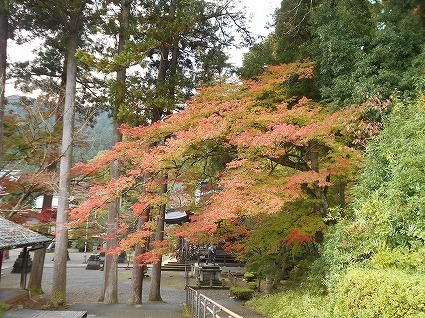 DSCN7743.jpg