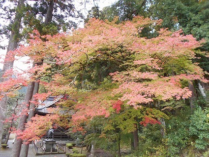 DSCN7744.jpg