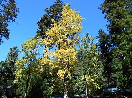 DSCN7750.jpg