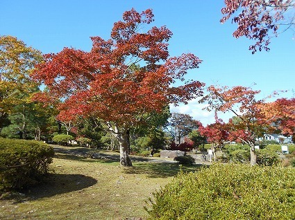DSCN7752.jpg