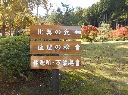 DSCN7754.jpg