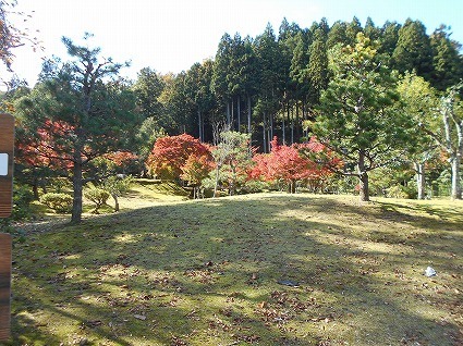 DSCN7755.jpg