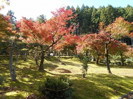 DSCN7756.jpg