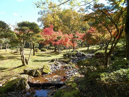 DSCN7758.jpg