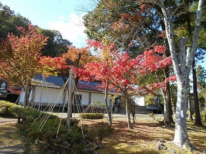 DSCN7760.jpg