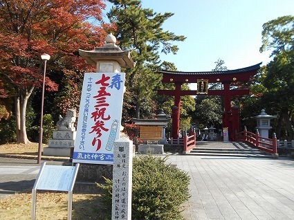 DSCN7761.jpg