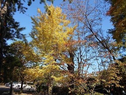 DSCN7766.jpg