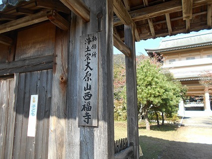 DSCN7768.jpg