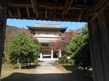 DSCN7769.jpg