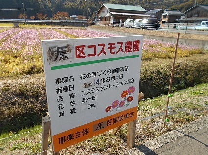 DSCN7772.jpg