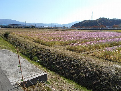 DSCN7773.jpg