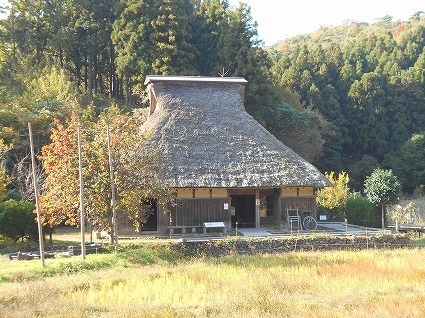 DSCN7775.jpg