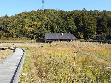 DSCN7778.jpg