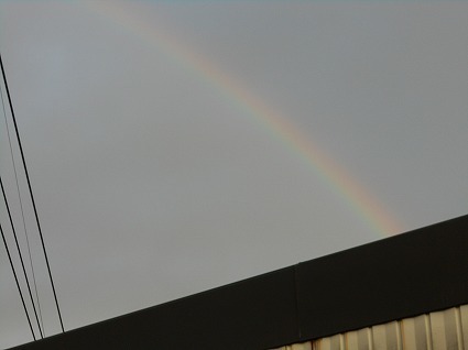 DSCN7800.jpg
