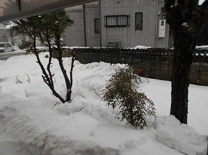 DSCN7841.jpg