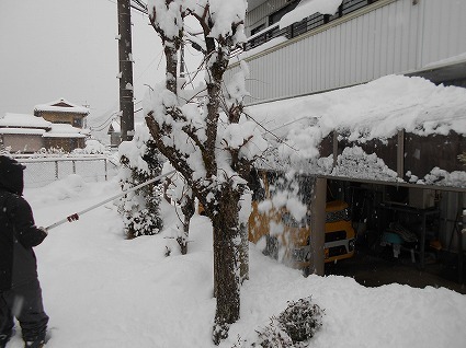 DSCN7844.jpg
