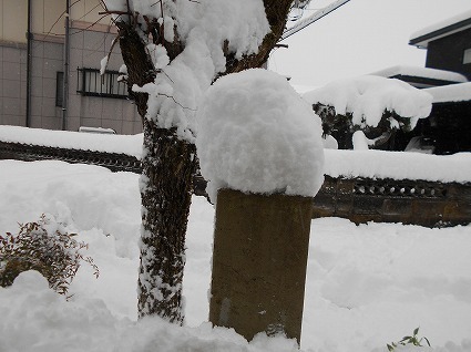 DSCN7848.jpg
