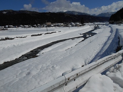 DSCN7874.jpg