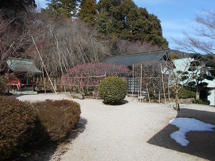 DSCN7882.jpg