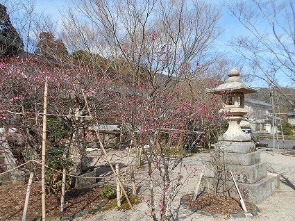 DSCN7883.jpg