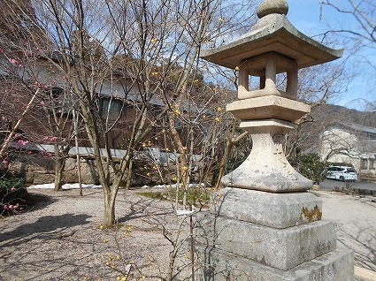 DSCN7884.jpg