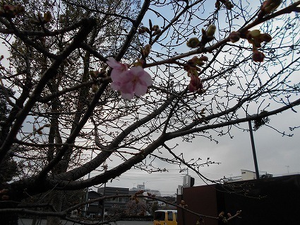 DSCN7891.jpg
